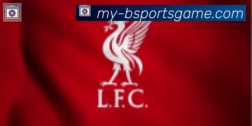Bsports官网合作伙伴