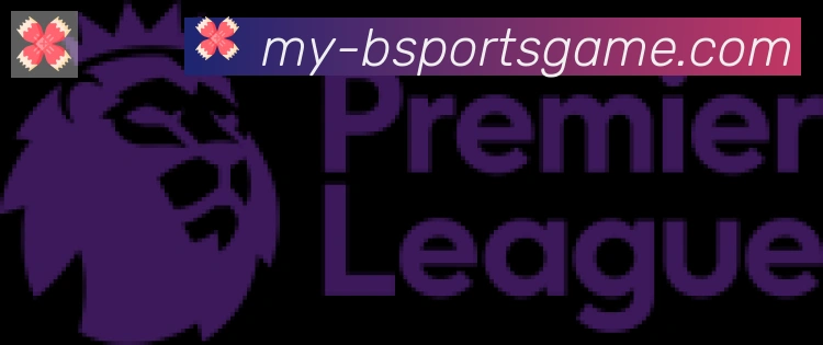 Bsports官网合作伙伴